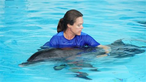 SeaWorld Rescue rehabilitates stranded Atlantic bottlenose dolphin | FOX 35 Orlando