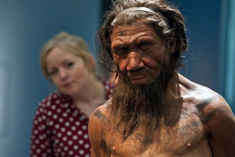 Missing Y chromosome kept us apart from Neanderthals | New Scientist