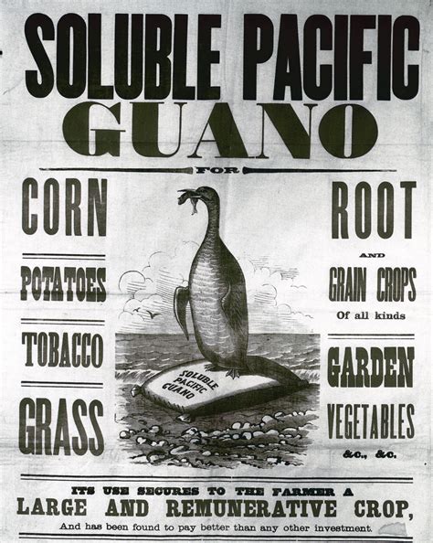 Seabird Guano: The White Gold of Fertilizers