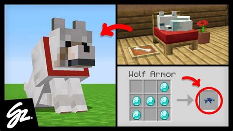 8 Pet Ideas That Should Be In Minecraft - YouTube