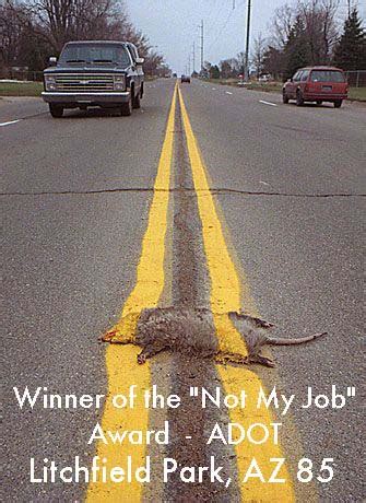 The Year 2000 winners of the "Not My Job" Award and the "I Hate My Job" Award are shown below