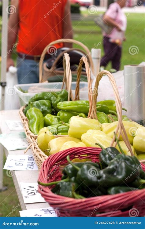 Fresh Organic Farmers Market Stock Photo - Image of aubergine, culinary ...