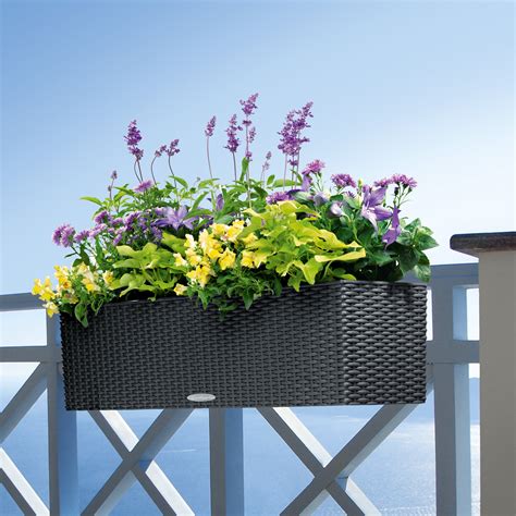 Balcony flower pots :Order planters online today! 0710558855