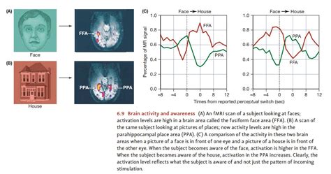 Neural Correlates of Consciousness