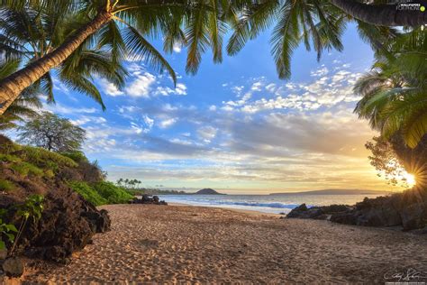 Beaches, Palms, rays of the Sun, sea, Aloha State Hawaje - For phone ...