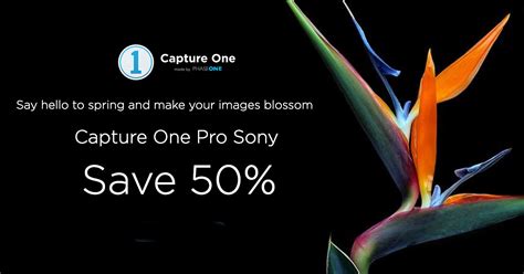 Capture One For Sony is 50% Off - Sony Mirrorless Pro