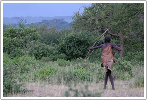 SAHARAN VIBE: VANISHING HADZABE CULTURE