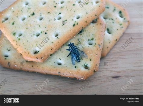 Flies Come On Food. Image & Photo (Free Trial) | Bigstock