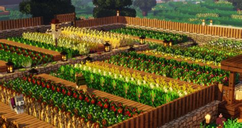 How To Do Agriculture In Minecraft - Farming Mania