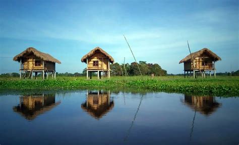 The forest man of Majuli Island – Dr. Vidya Hattangadi