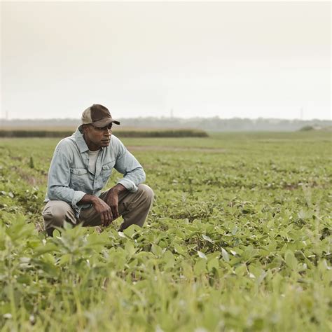 How Many Black Farmers Are There In The United States Today - Farmer ...