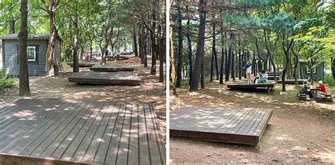 Seoul Forest Park – SEOULSHOPPER