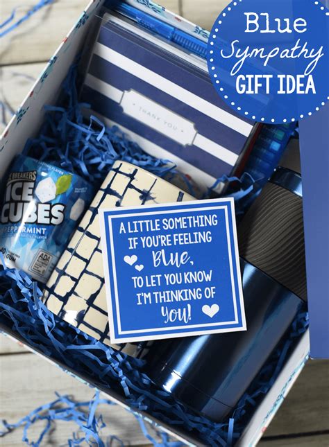 Blue-Themed Unique Sympathy Gifts - Crazy Little Projects