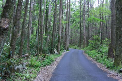 Nomadic Newfies: GSMNP - Roaring Fork Nature Trail or It Was Bound to Happen Sooner or Later