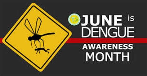 You've Got It: Dengue Awareness Month