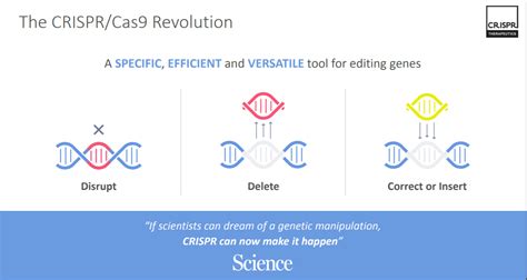 CRISPR Therapeutics: A Review Of Its Clinical Pipeline And Progress (NASDAQ:CRSP) | Seeking Alpha