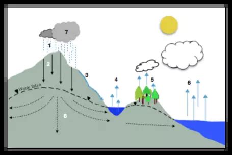 Unit 1: Hydrologic Cycle - Worksheets Library