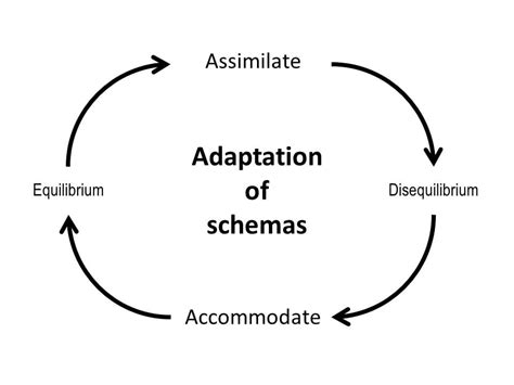 Assimilation Definition History