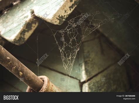 Cobwebs Corner Top Old Image & Photo (Free Trial) | Bigstock