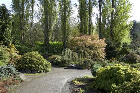 Garden path plants stock image. Image of plants, designing - 39954087