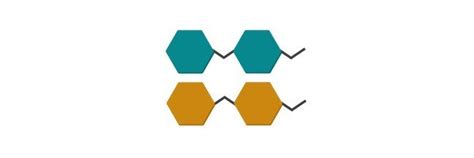 Polysaccharide: Definition, Structure, and Examples