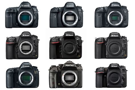 Best DSLR Cameras You Can Buy in 2020, Ranked