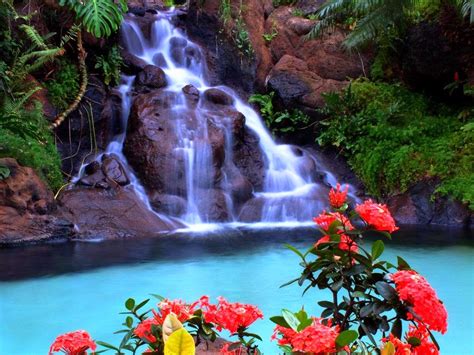 🔥 [50+] Animated Waterfall Wallpapers with Sound | WallpaperSafari