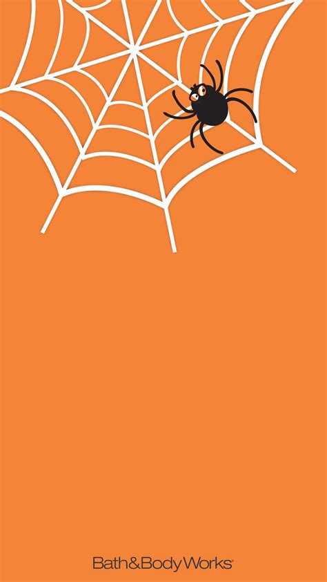 Spiderweb iPhone Wallpaper | Halloween wallpaper iphone, Halloween ...