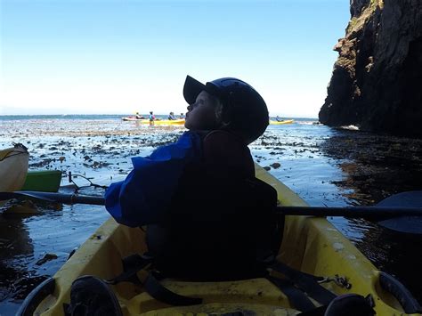 A Family Adventure: Channel Islands Kayaking with Kids - No Back Home