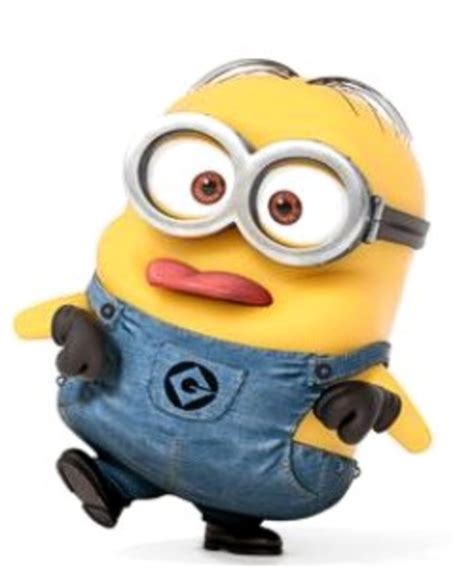 Silly Despicable Me Minion Character Costumes