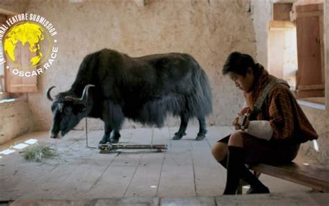 Lunana: A Yak in the Classroom makes history as the first Bhutanese ...