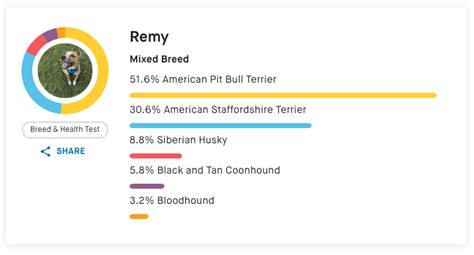 Embark Dog Breed Identification DNA Test [2022 Review]