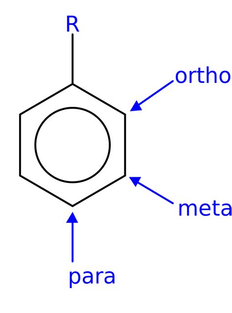 Difference Between Ortho Para and Meta Substitution | Compare the Difference Between Similar Terms