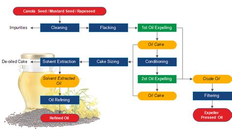 Start a Small Scale Canola Oil Manufacturing Plant | Canola oil, Edible ...