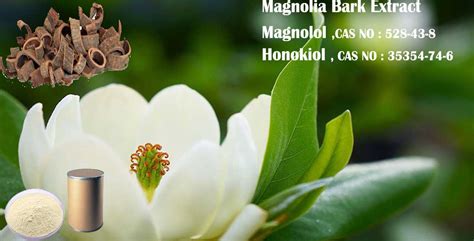 Magnolia bark extract,magnolol, honokiol,CAS: 35354-74-6,CAS : 528-43-8 ...