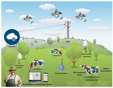 Combination of Multi-Agent Systems and Wireless Sensor Networks for the Monitoring of Cattle ...