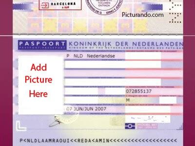 Fake Passport Generator For Fun - img-Bachue