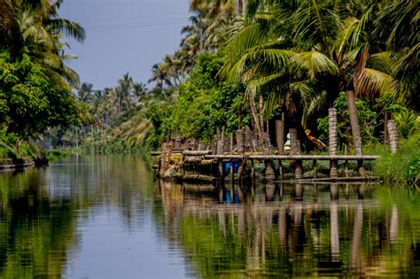 Photography and beyond: Backwaters of Kerala , india