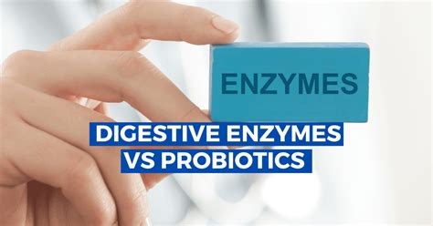 Digestive Enzymes vs Probiotics: What are the Differences?