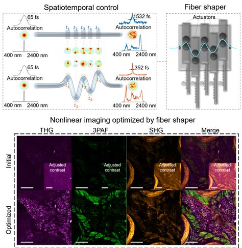 Research – Computational Biophotonics Lab