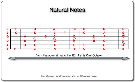 The Music Room Bexhill: Natural Notes