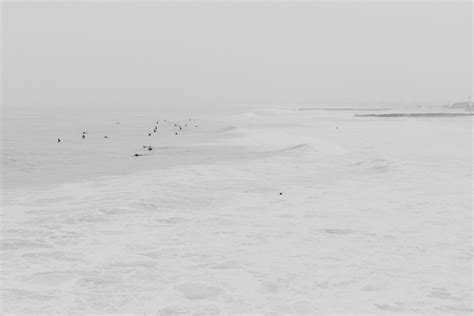 Free Images : sea, sand, snow, white, wave, ice, weather, blizzard, tundra, freezing, arctic ...