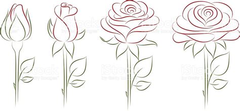 Blooming Rose. Vector illustration. | Blyant