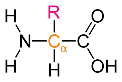 Alpha (a) Amino Acid - Learn Chemistry Online | ChemistryScore