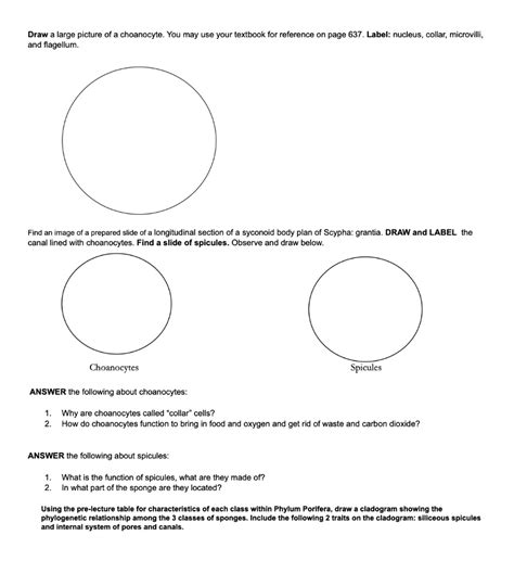 SOLVED: Draw large picture of a choanocyte. You may use your textbook ...