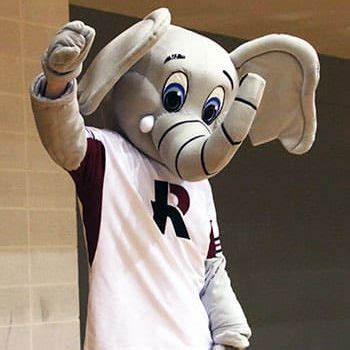 Rosie | Mascot Hall of Fame