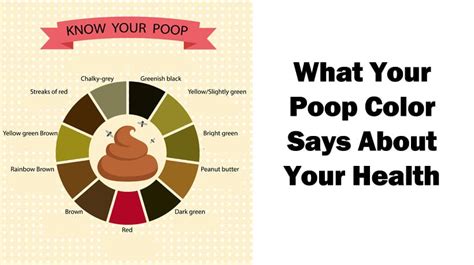 What the color of poop means – The Meaning Of Color