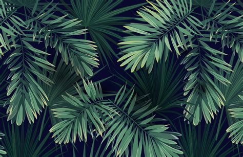 🔥 [50+] Plant Wallpapers | WallpaperSafari