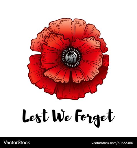 Remembrance Day Poppy With Lest We Forget Text Vector Image | My XXX ...