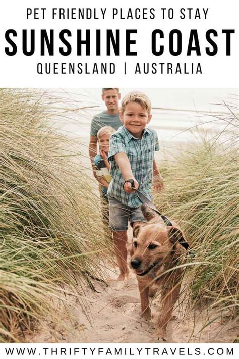 The Best Sunshine Coast Dog Friendly Accommodation (& Kid Friendly ...